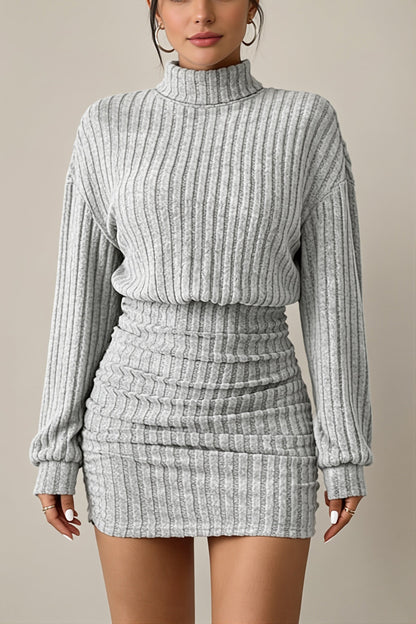 Damen-Rippstrick-MinKleid mit Rollkragen in der Vorderansicht