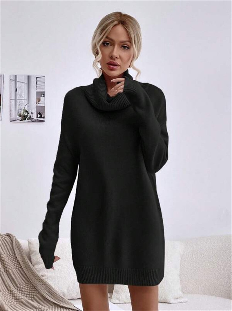 Damen-Strickpulloverkleid mit hohem Kragen und langen Ärmeln in der Gesamtansicht